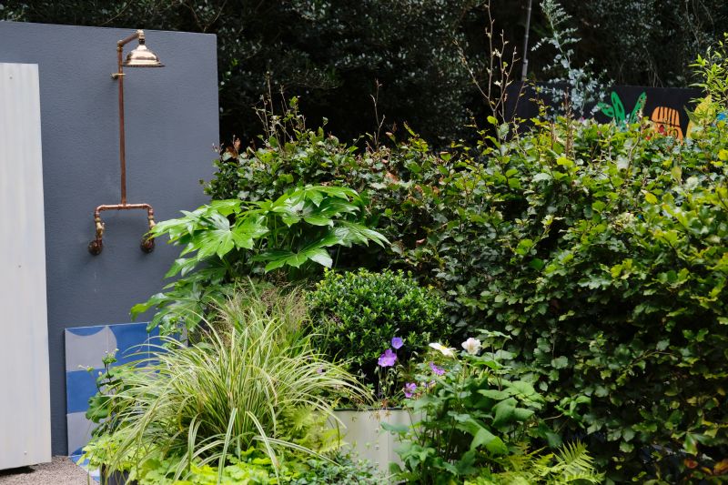 Fall as a Suitable Season